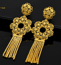 Load image into Gallery viewer, Women Fashion Earrings MOQ3
