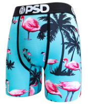 PSD Men's Shorts