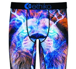 Ethika Men's Shorts Underwear