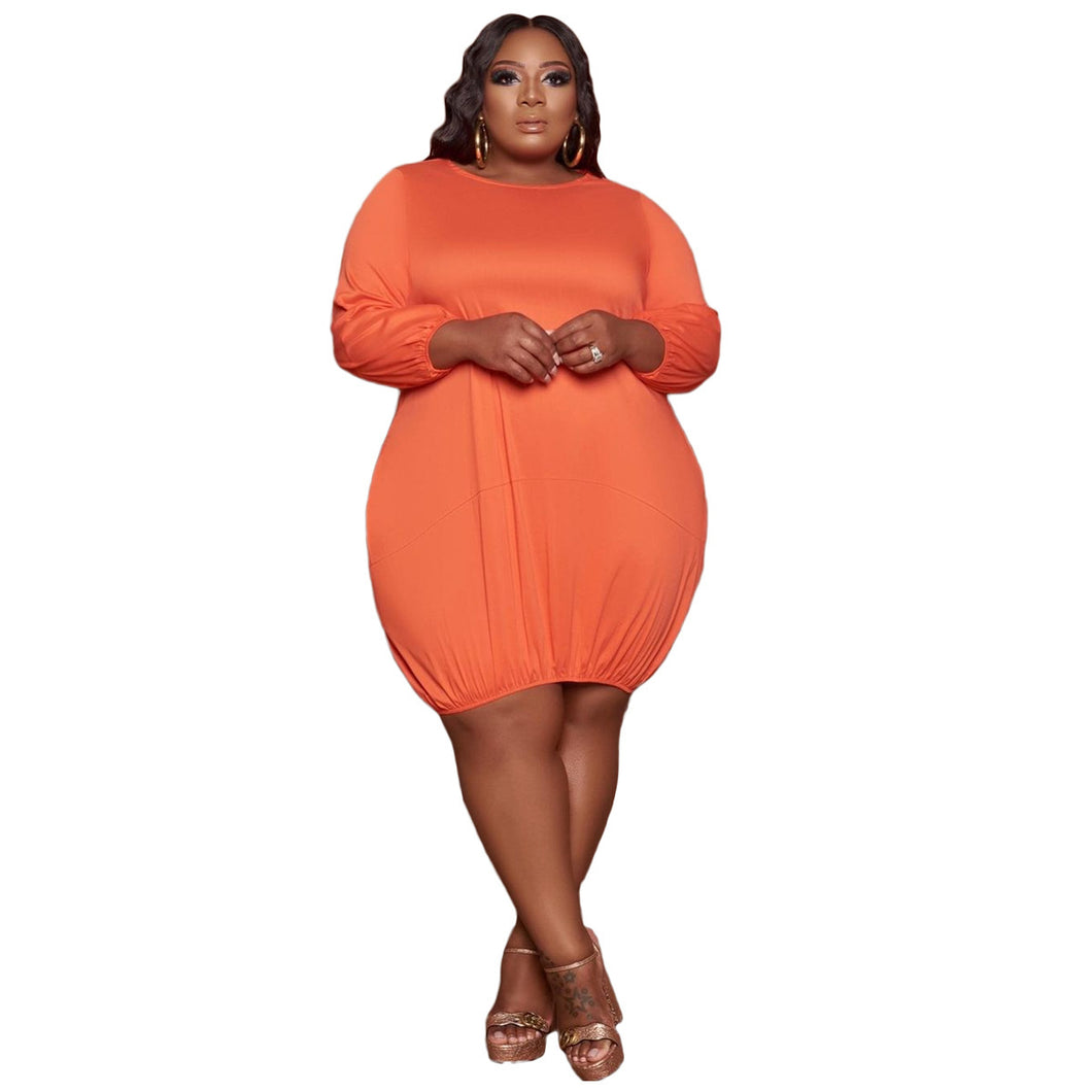 Plus Size Long Sleeve Dress