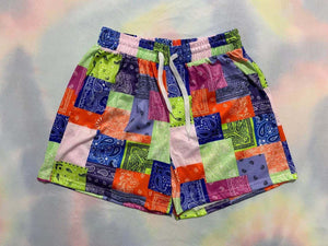 Bandana Pattern Splice Shorts