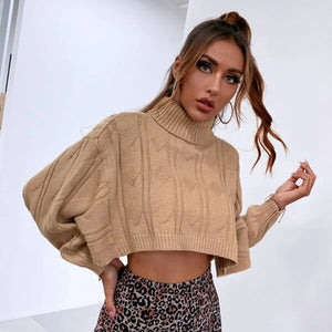 Crop Knit Top