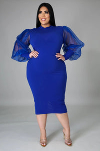 Plus Size Mesh Lantern Sleeve Dress