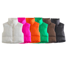 Load image into Gallery viewer, Winter Puffy Vest
