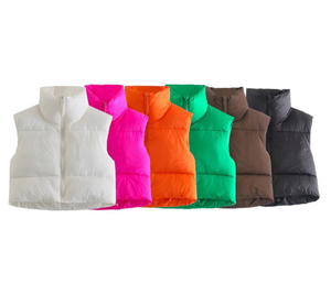 Winter Puffy Vest