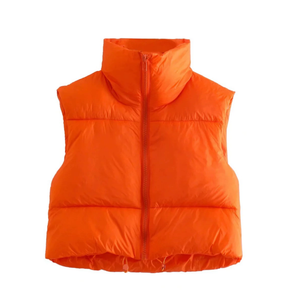 Winter Puffy Vest