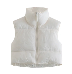 Winter Puffy Vest