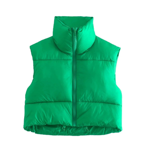 Winter Puffy Vest