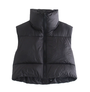 Winter Puffy Vest