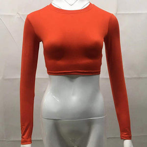 Long sleeve crop top